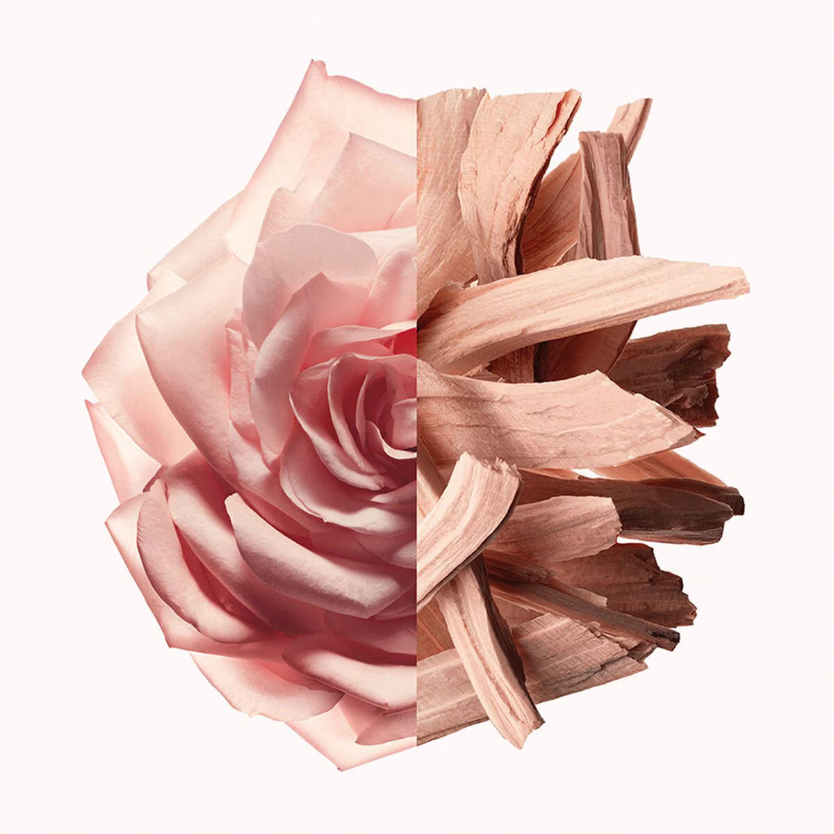 IRRESISTIBLE NUDE VELVET. IRRESISTIBLE NUDE VELVET