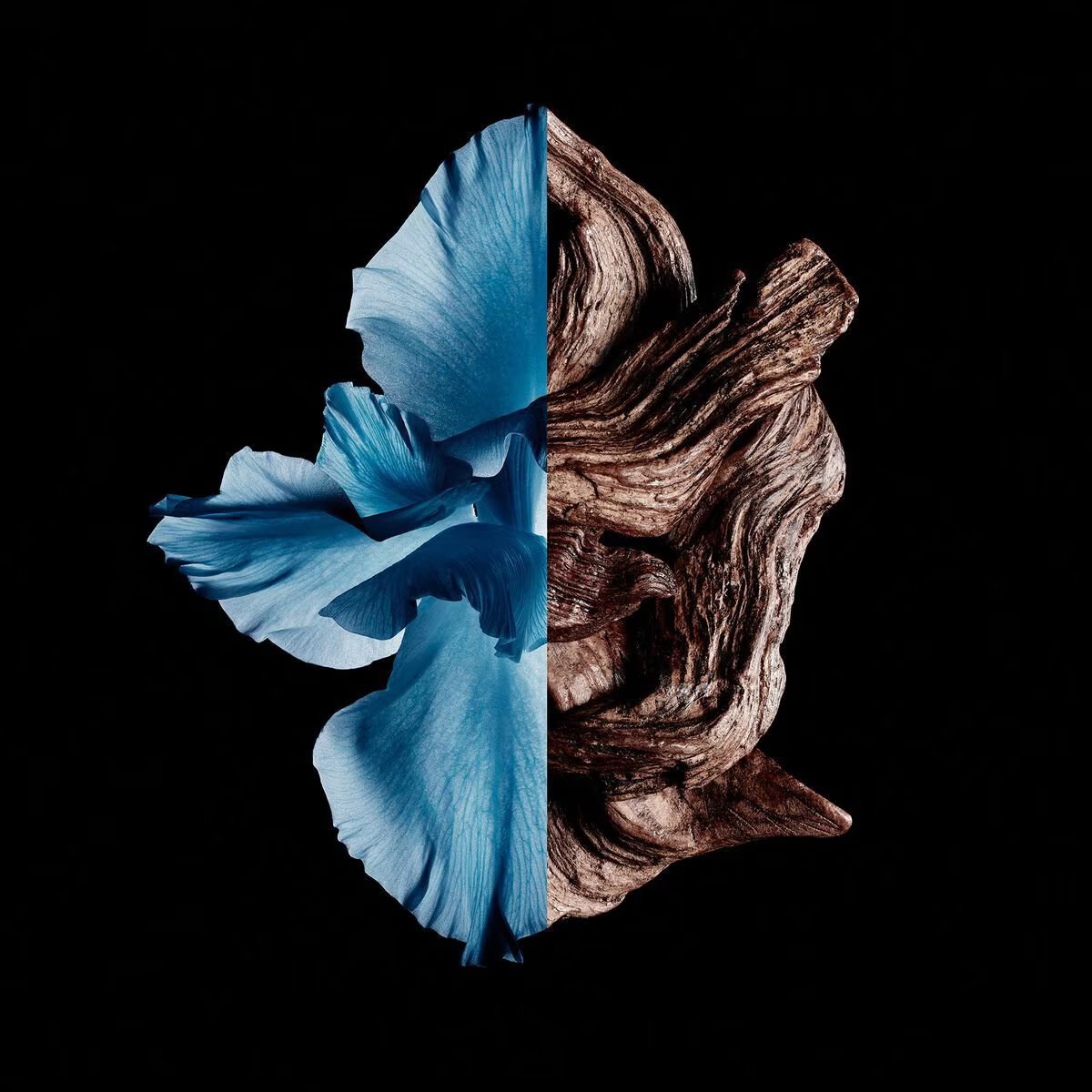 Gentleman Givenchy Intense..