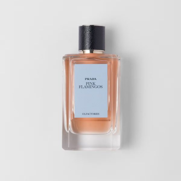 Olfactories - Pink Flamingos EDP 100 ml